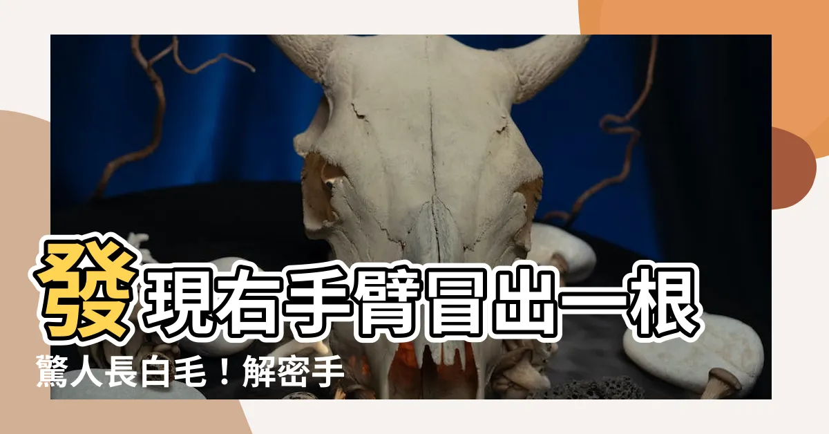 【右手臂長白毛】發現右手臂冒出一根驚人長白毛！解密手臂異常現象的奧秘！