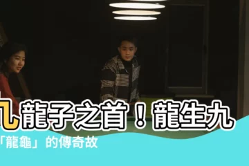 【龍生九子 龍龜】九龍子之首！龍生九子「龍龜」的傳奇故事