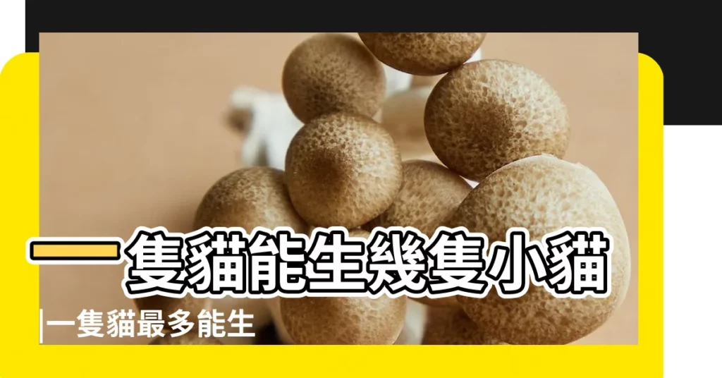 一隻貓能生幾隻小貓 |一隻貓最多能生幾隻小貓 |貓媽一胎五貓竟來自3隻經手 |【家貓能生幾隻小貓】
