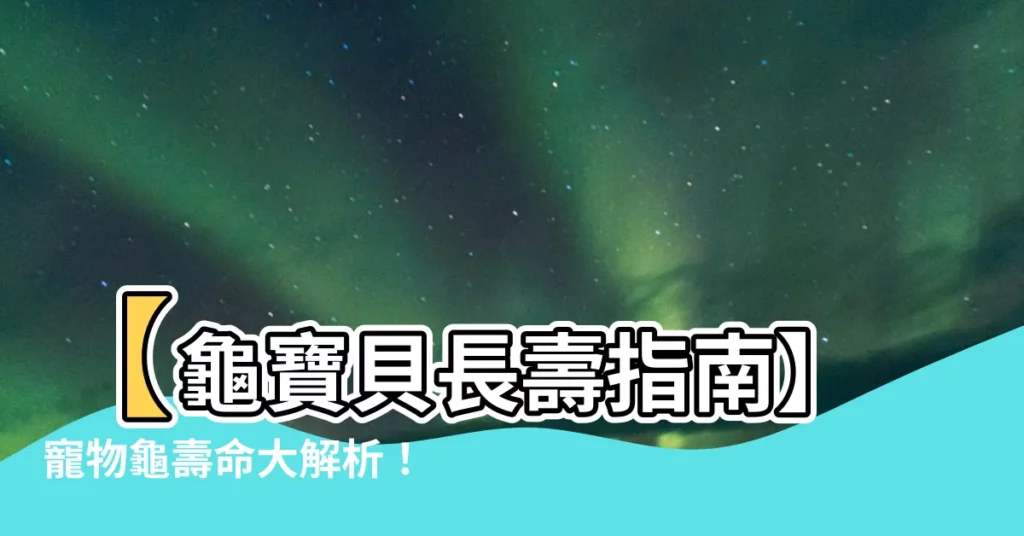 【寵物龜壽命】【龜寶貝長壽指南】寵物龜壽命大解析！陪伴愛龜共度美好時光