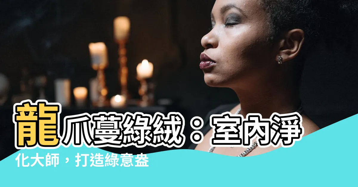 【龍爪蔓綠絨風水】龍爪蔓綠絨：室內淨化大師，打造綠意盎然的風水秘境