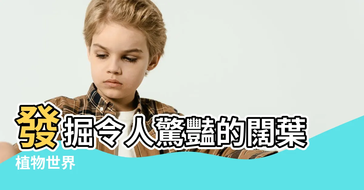 【闊葉植物】發掘令人驚豔的闊葉植物世界