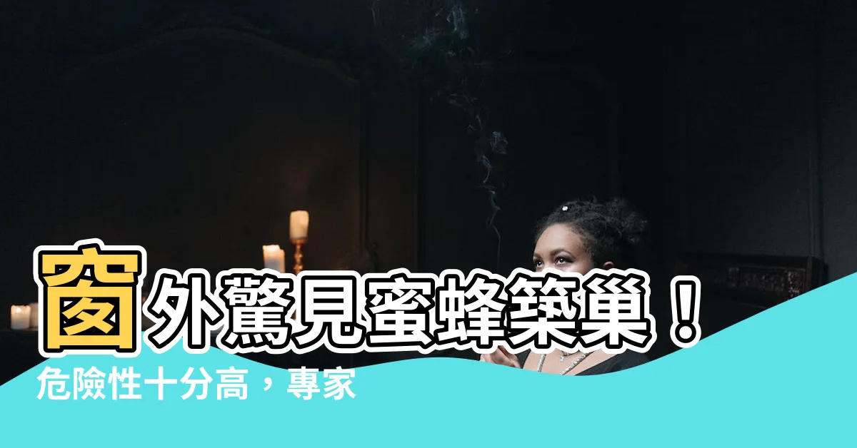 【蜜蜂在窗外築巢】窗外驚見蜜蜂築巢！危險性十分高，專家警告必須關窗