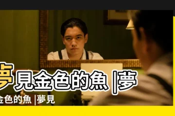 【孕婦做夢金色魚】夢見金色的魚 |夢見金色的魚 |夢見金色的魚 |