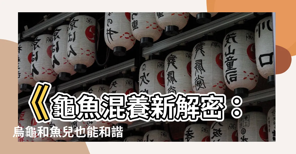 【龜魚】《龜魚混養新解密：烏龜和魚兒也能和諧共處？》