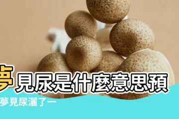 【周公夢見尿撒一地】夢見尿是什麼意思預兆 |夢見尿灑了一地 |夢見小便尿地上 |