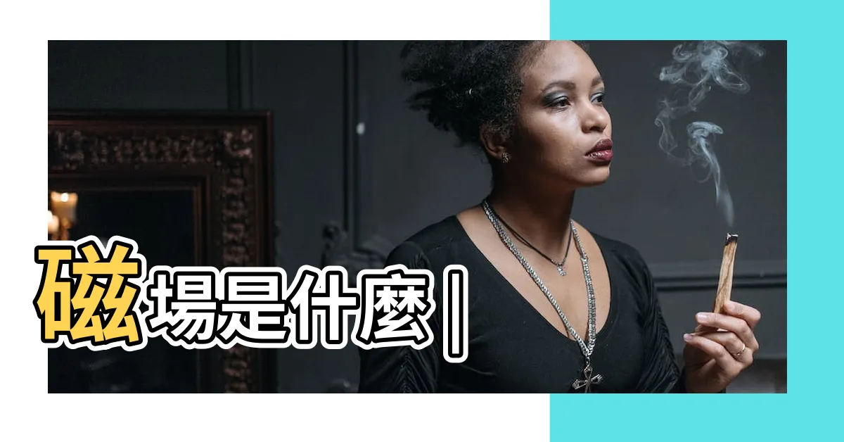 【磁場是什麼】磁場是什麼 |