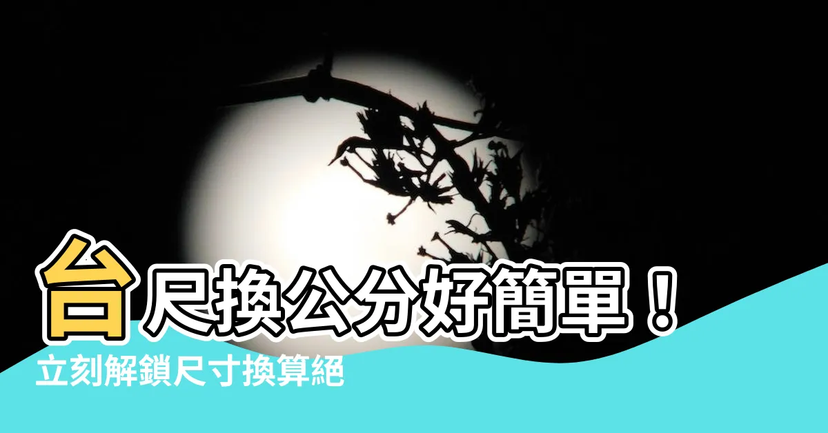 【台尺 公分 換算】台尺換公分好簡單！立刻解鎖尺寸換算絕招！