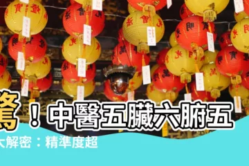 【五臟六腑五行】驚！中醫五臟六腑五行大解密：精準度超乎想像！