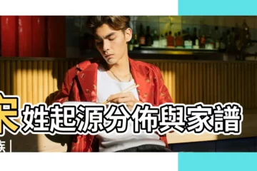 【第一個姓宋的人】宋姓起源分佈與家譜家族 |