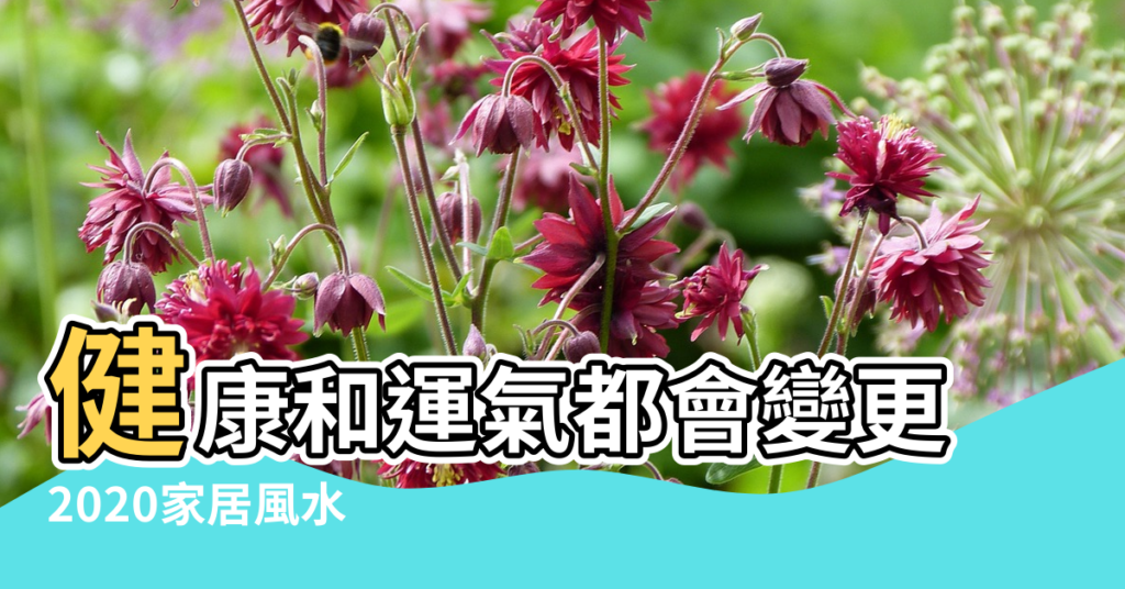 【家居環境設計與風水】健康和運氣都會變更 |2020家居風水 |記住以下15個基本 |