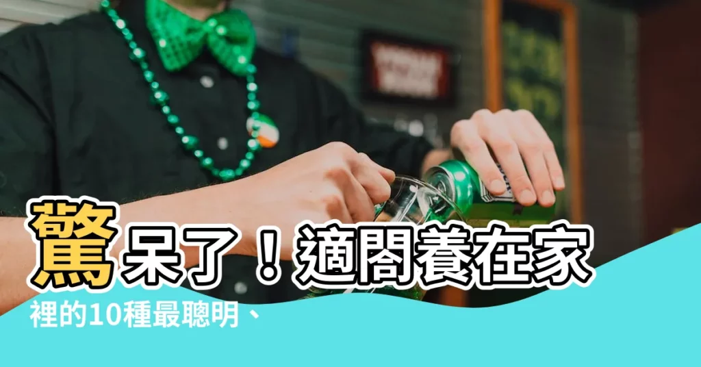 【適合養在家裡的鳥】驚呆了！適閤養在家裡的10種最聰明、最親近人的鳥兒大公開！