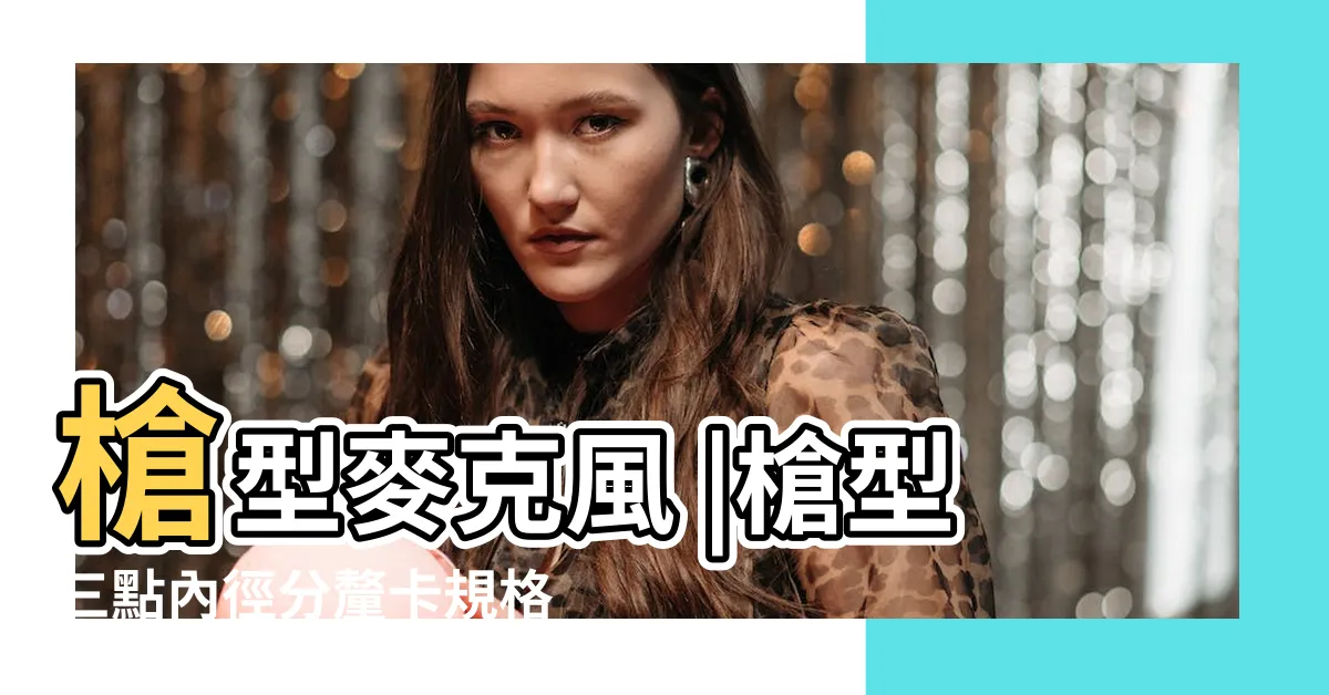 【槍型】槍型麥克風 |槍型三點內徑分釐卡規格 |