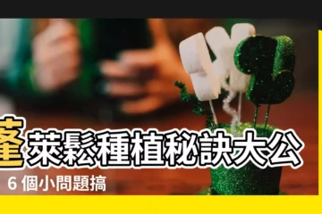 【蓬萊松種植】蓬萊鬆種植秘訣大公開！6 個小問題搞懂，輕鬆養出蓬勃綠意