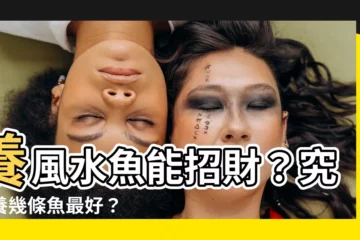 【養幾條魚最 好】養風水魚能招財？究竟養幾條魚最好？