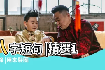 【影子八字短句】八字短句 |精選100條 |用來髮圈 |