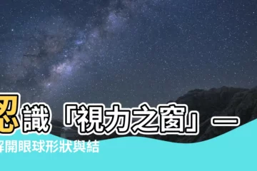 【眼球形狀】認識「視力之窗」——解開眼球形狀與結構之謎