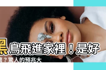 【黑鳥飛進家裡】黑鳥飛進家裡！是好是壞？驚人的預兆大曝光