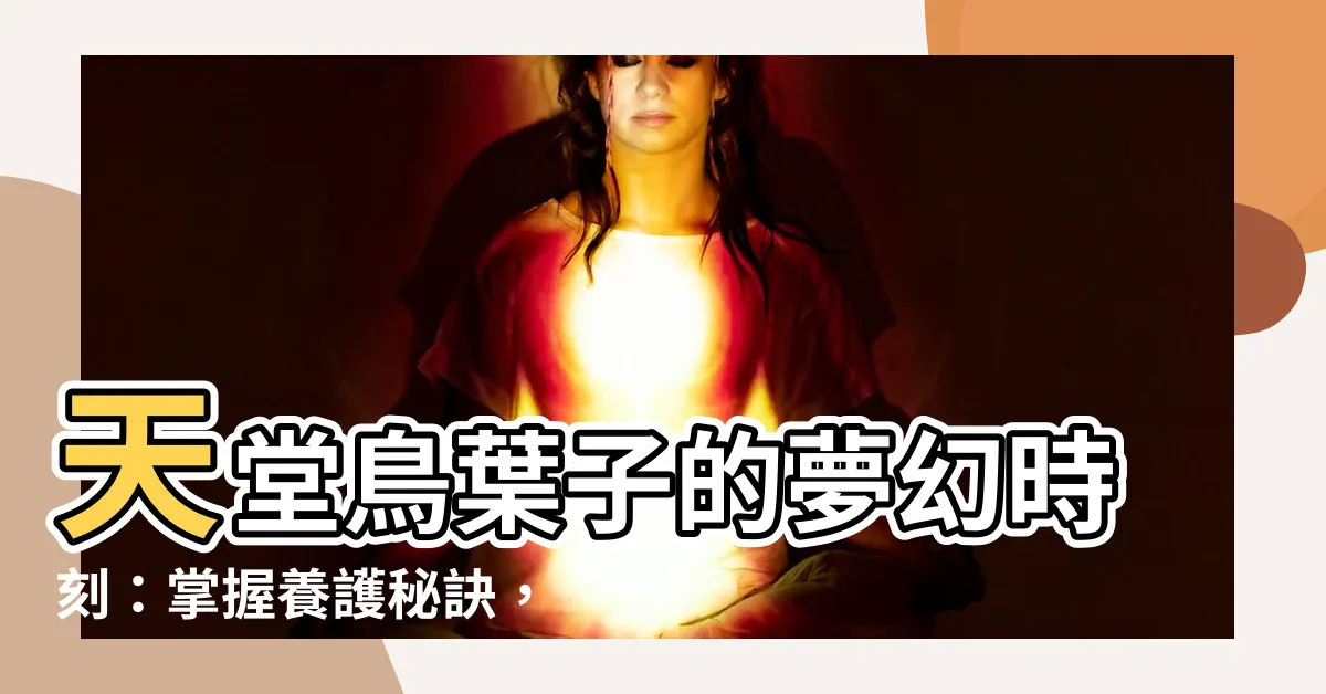 【天堂鳥葉子】天堂鳥葉子的夢幻時刻：掌握養護秘訣，讓你的家變身熱帶天堂！