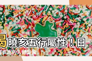 【亥 五行】揭曉亥五行屬性！日支屬亥水的人體型偏胖？