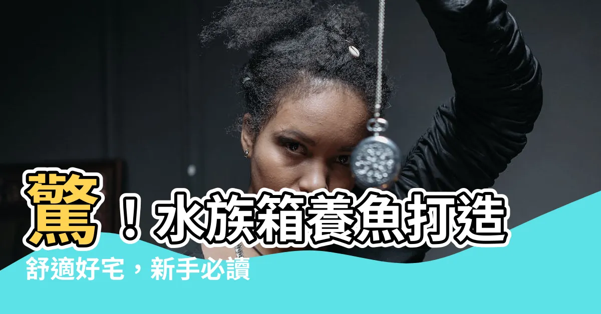 【水族箱養魚】驚！水族箱養魚打造舒適好宅，新手必讀！