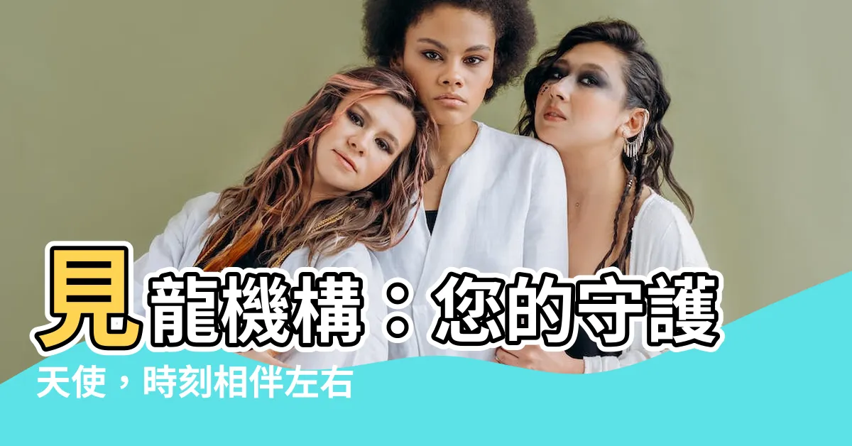 【見龍機構】見龍機構：您的守護天使，時刻相伴左右