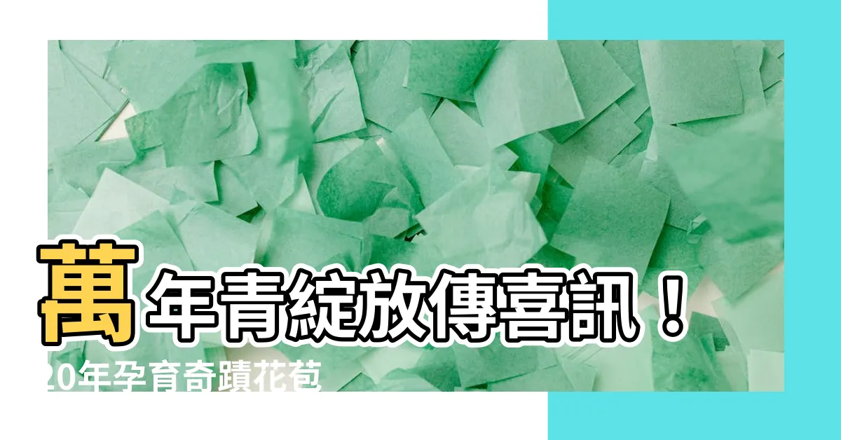 【萬年青 開花】萬年青綻放傳喜訊！20年孕育奇蹟花苞，寓意好運連連