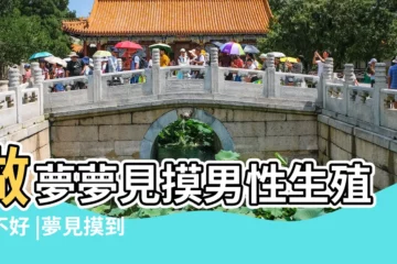 【夢見摸陌生男人的器官】做夢夢見摸男性生殖好不好 |夢見摸到男人陽具是什麼意思 |夢見男人生殖器官 |