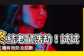 【老鼠膠】終結老鼠浩劫！試試這三種有效防治招數