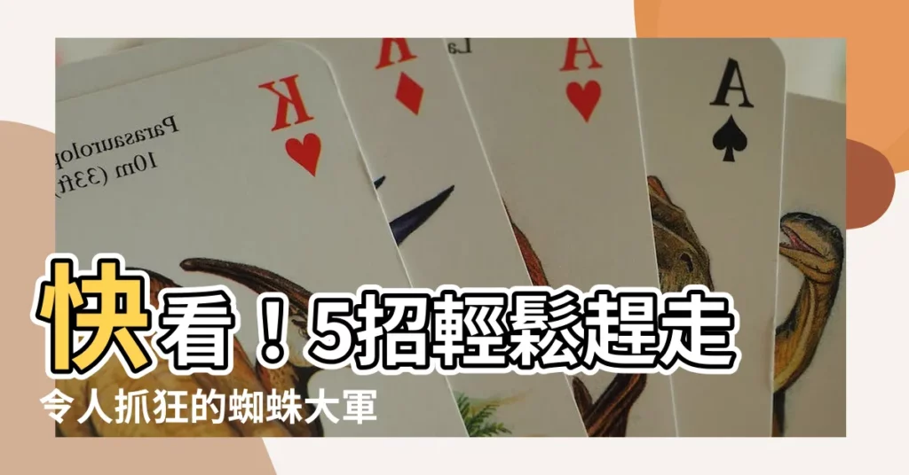 【蜘蛛太多】快看！5招輕鬆趕走令人抓狂的蜘蛛大軍