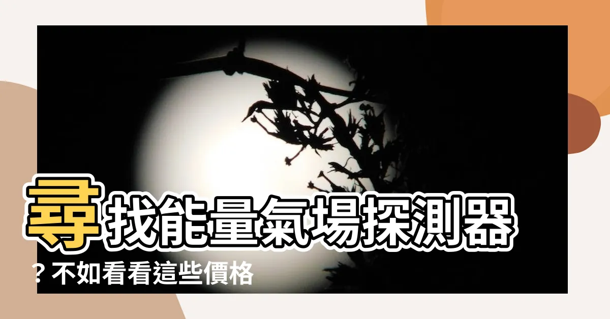【能量氣場探測器】尋找能量氣場探測器？不如看看這些價格推薦！