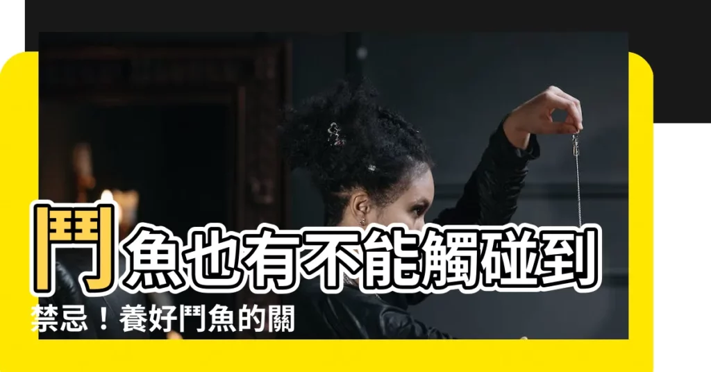 【養 鬥 魚 禁忌】鬥魚也有不能觸碰到禁忌!養好鬥魚的關鍵要點!