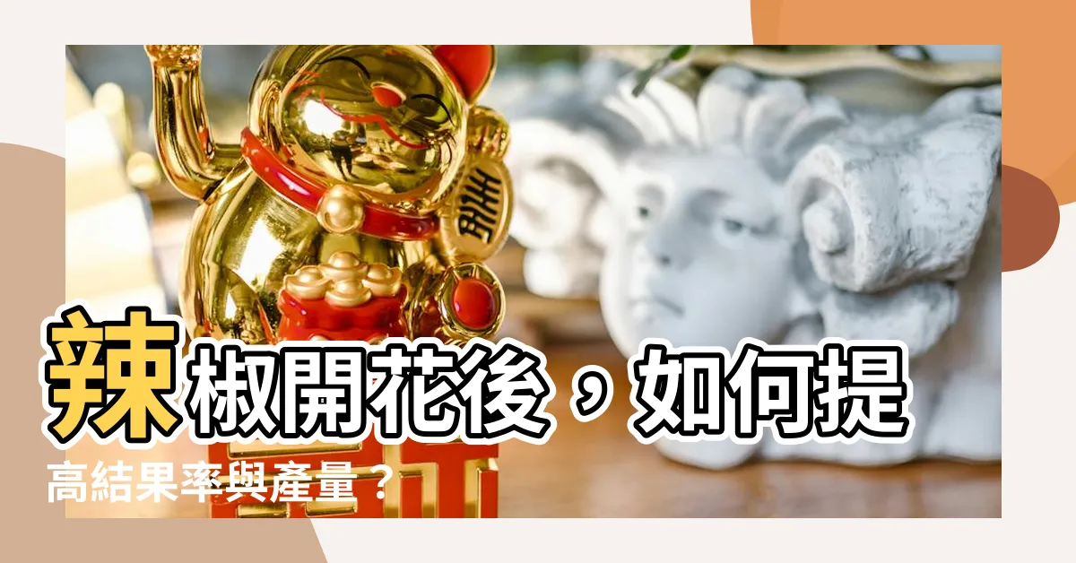 【辣椒開花後】辣椒開花後，如何提高結果率與產量？