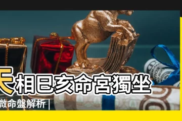 【命宮天相己已】天相巳亥命宮獨坐 |紫微命盤解析 |天相獨坐巳亥二宮守命 |