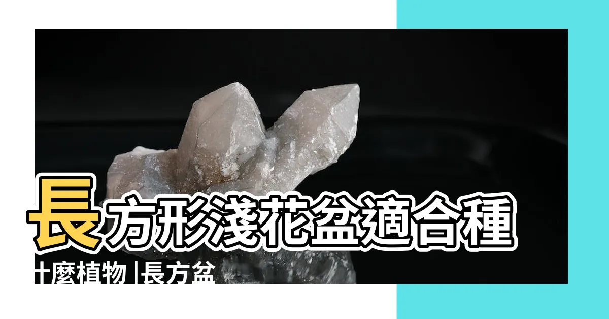 【長型花盆適合種什麼】長方形淺花盆適合種什麼植物 |長方盆適合栽什麼植物 |長花盆適合種什麼花 |