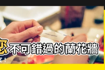 【蘭花牆】您不可錯過的蘭花牆盛宴！