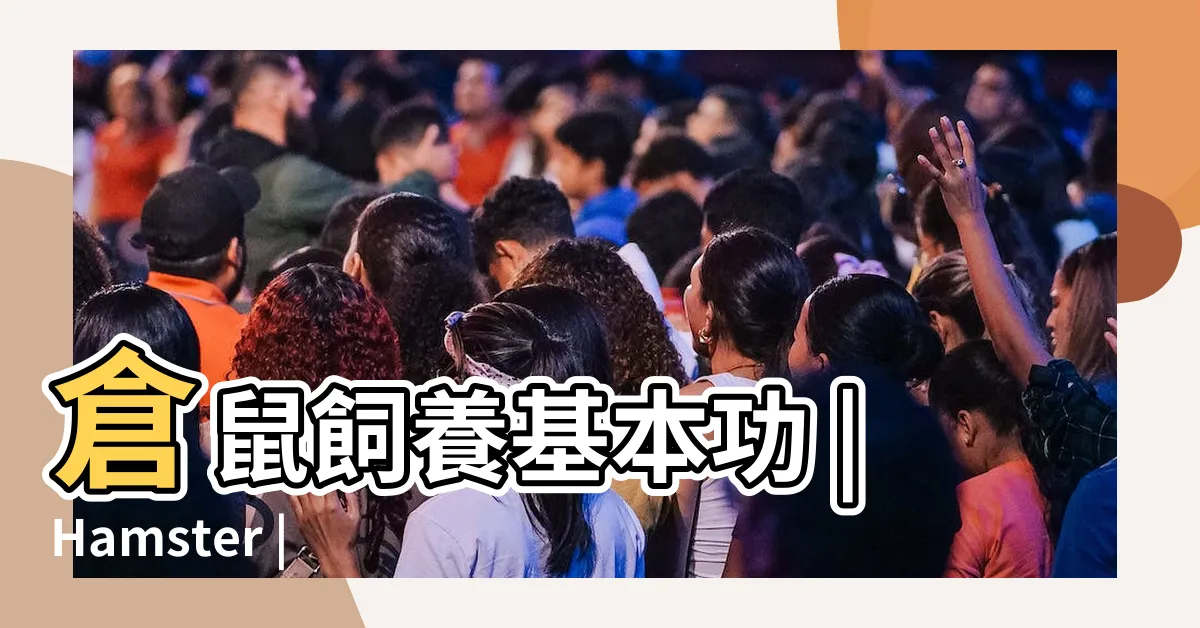 【養寵物鼠】倉鼠飼養基本功 |Hamster |七種類鼠飼養分享 |
