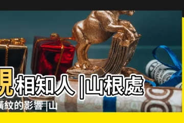 【印堂下有山根有橫紋】觀相知人 |山根處有橫紋的影響 |山根有橫紋如何化解 |