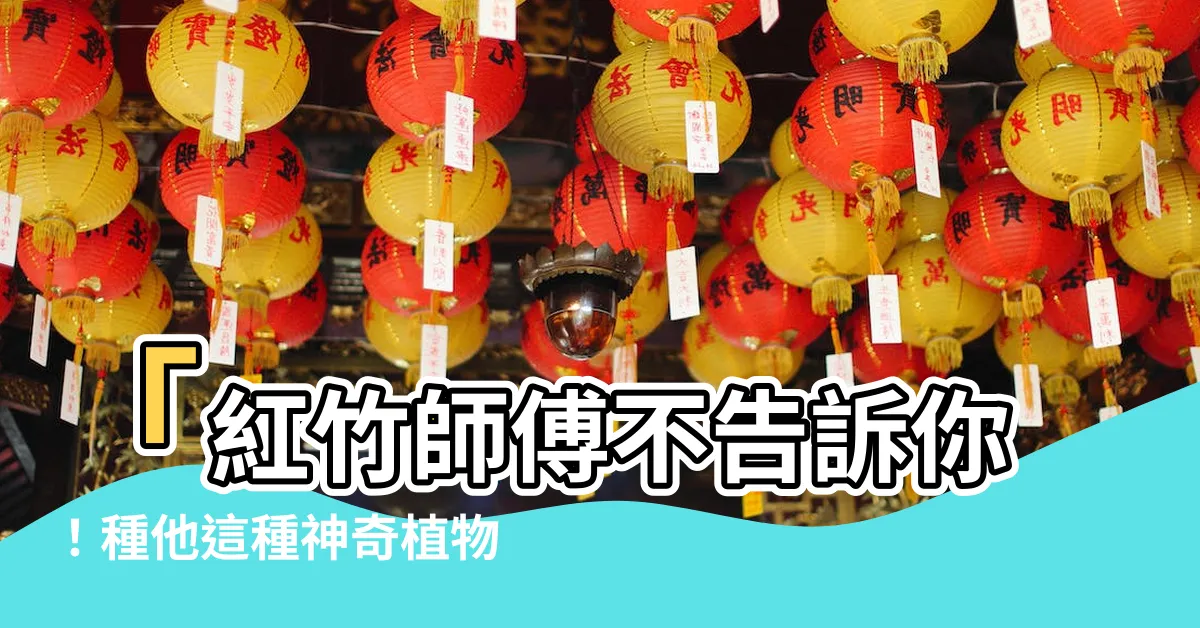 【紅竹風水】「紅竹師傅不告訴你！種他這種神奇植物，財運直接破錶翻倍！」