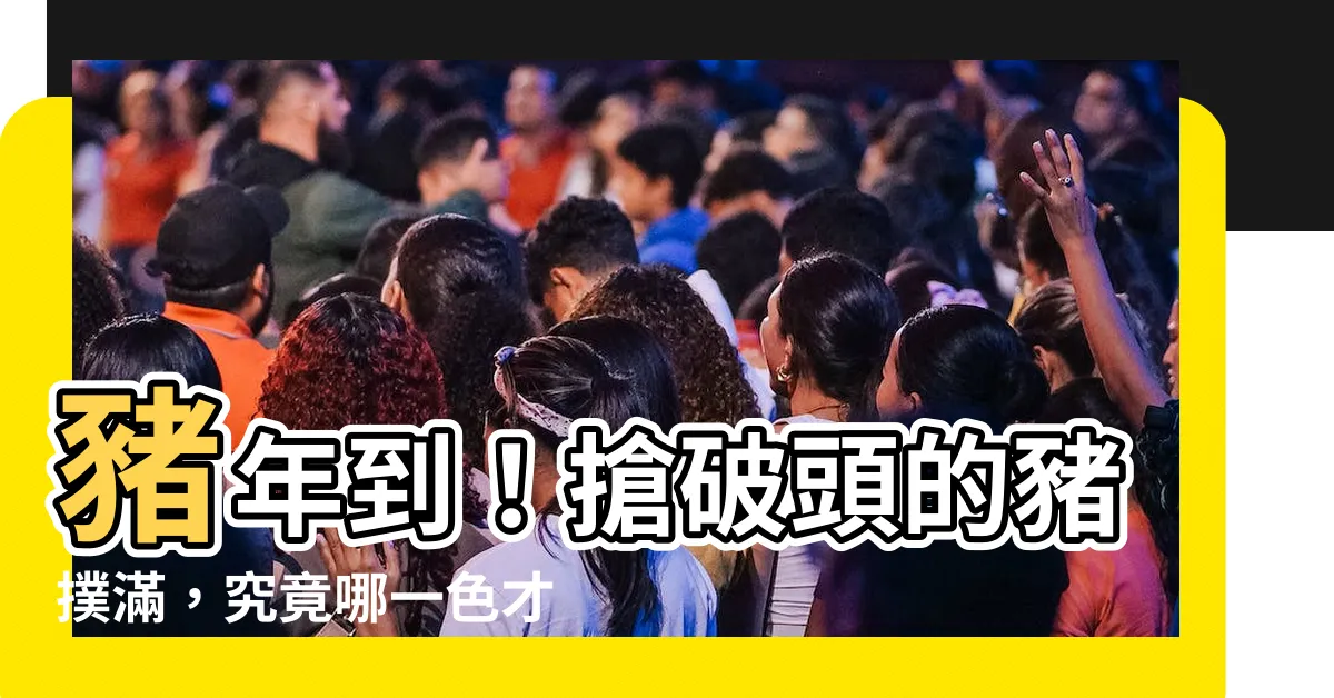 【豬撲滿風水】豬年到！搶破頭的豬撲滿，究竟哪一色才「吸金」？