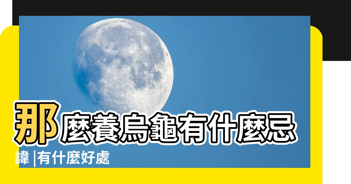 【養龜的好處】那麼養烏龜有什麼忌諱 |有什麼好處 |很多人喜歡在家中養烏龜 |