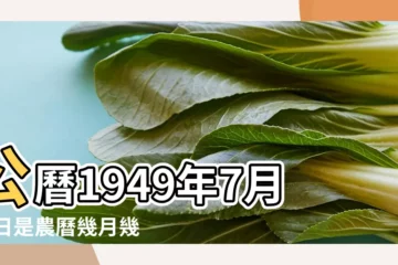 【1949年陰曆7月23日】公曆1949年7月23日是農曆幾月幾號 |1949年7月23日陰曆多少號 |1949年7月23日農曆多少號 |