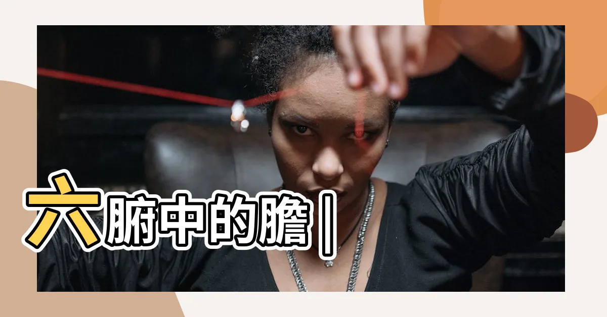 【甲木】六腑中的膽 |