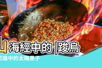 【烏鵲太陽】山海經中的 |踆烏的認識中的太陽黑子 |惡俗之鳥 |