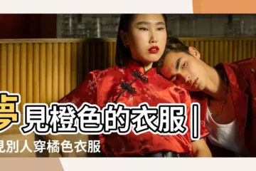 【夢見老公穿橘黃褲子】夢見橙色的衣服 |夢見別人穿橘色衣服 |整理好多個派網頁的解夢數字 |