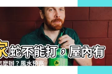 【家 蛇】家蛇不能打，屋內有蛇怎麼辦？風水預兆與預防方法報你知