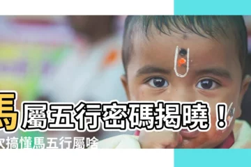 【馬屬五行】馬屬五行密碼揭曉！一次搞懂馬五行屬啥，水火相剋還是火上加油？