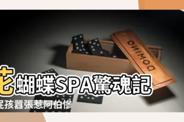 【花蝴蝶 spa】花蝴蝶SPA驚魂記！屁孩囂張惹阿伯慘遭「十五神虎」團滅