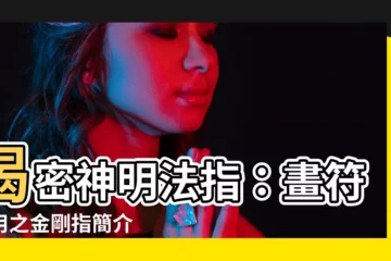 【神明 法指】揭密神明法指：畫符常用之金剛指簡介