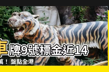 【車牌 9】車牌9號標金近1400萬！ 盤點全港最貴的「1字記之車牌」